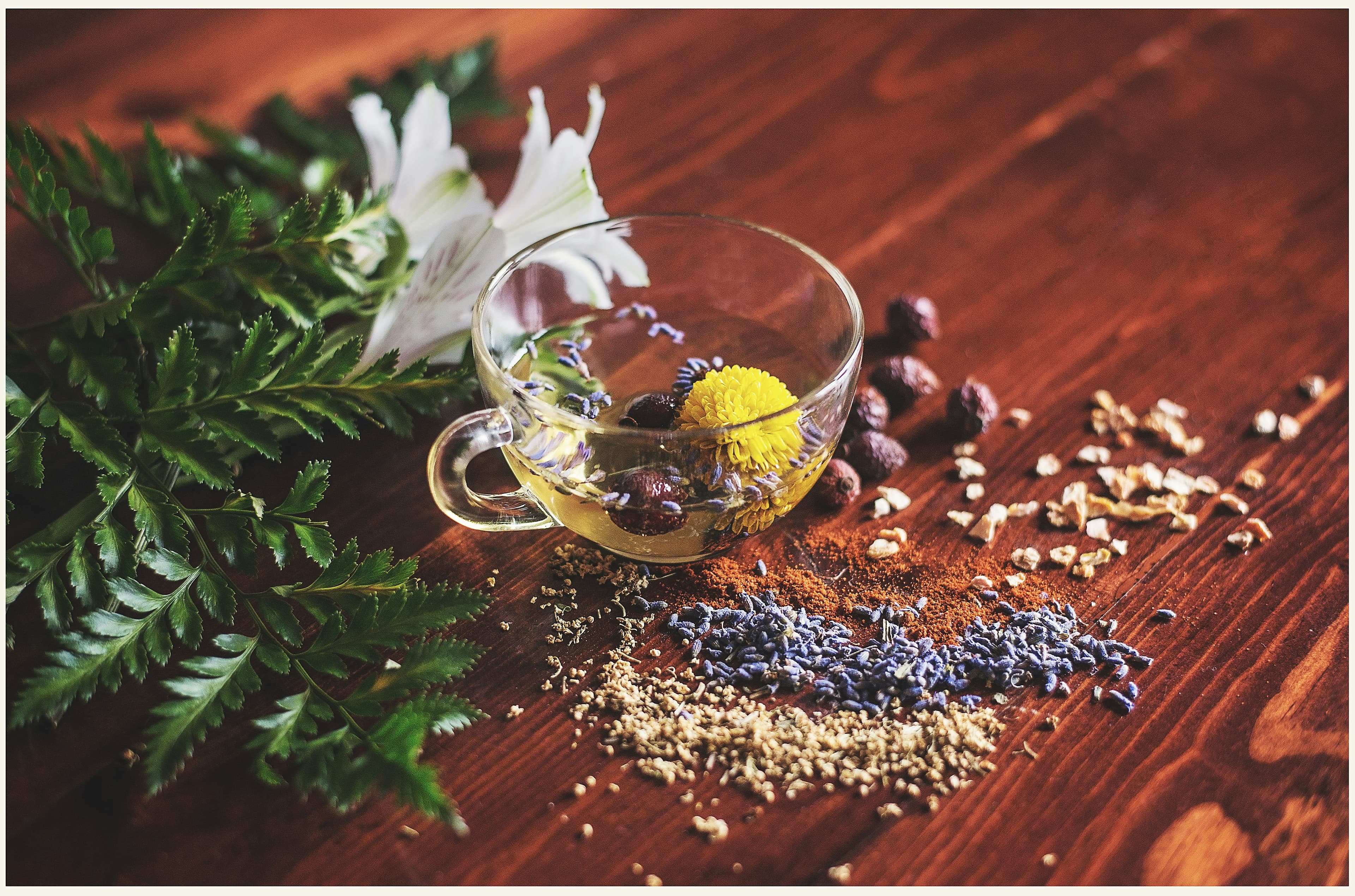 Luxury Ayurveda retreat in India offering holistic wellness and rejuvenation