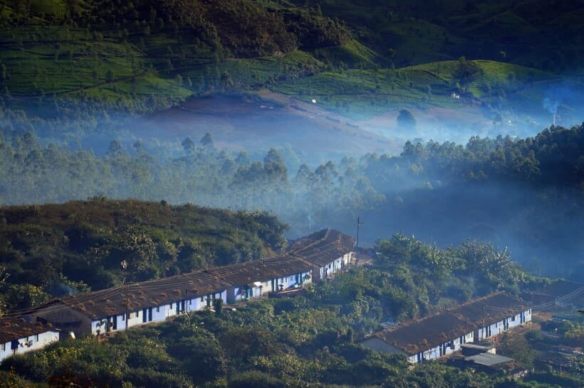 Munnar Tea Plantations