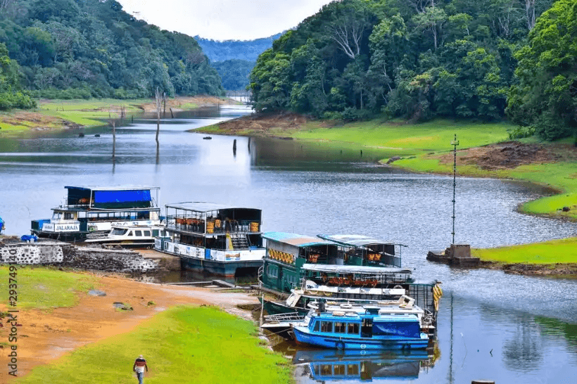 Thekkady – Where Nature Rules