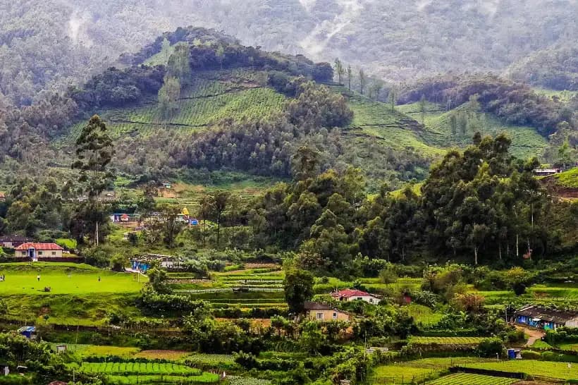 Munnar – South India’s Alpine Haven
