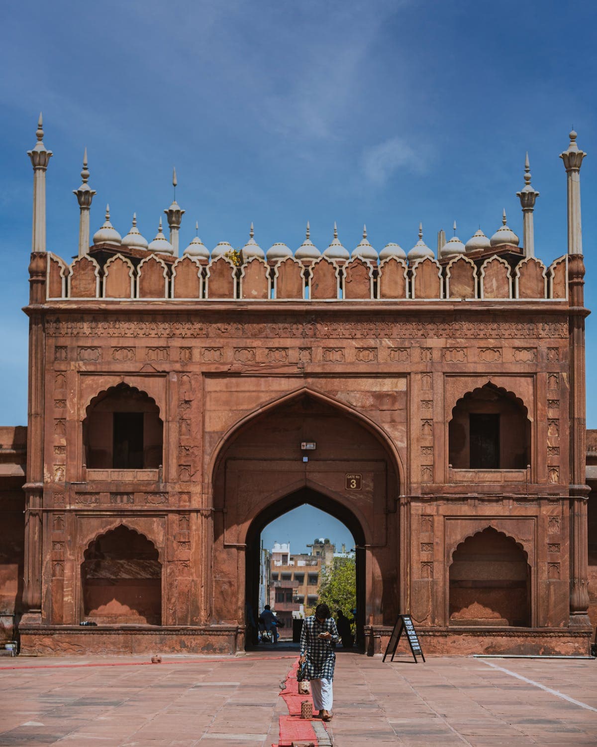 Delhi sightseeing tour featuring India Gate Red Fort Qutub Minar and historic landmarks