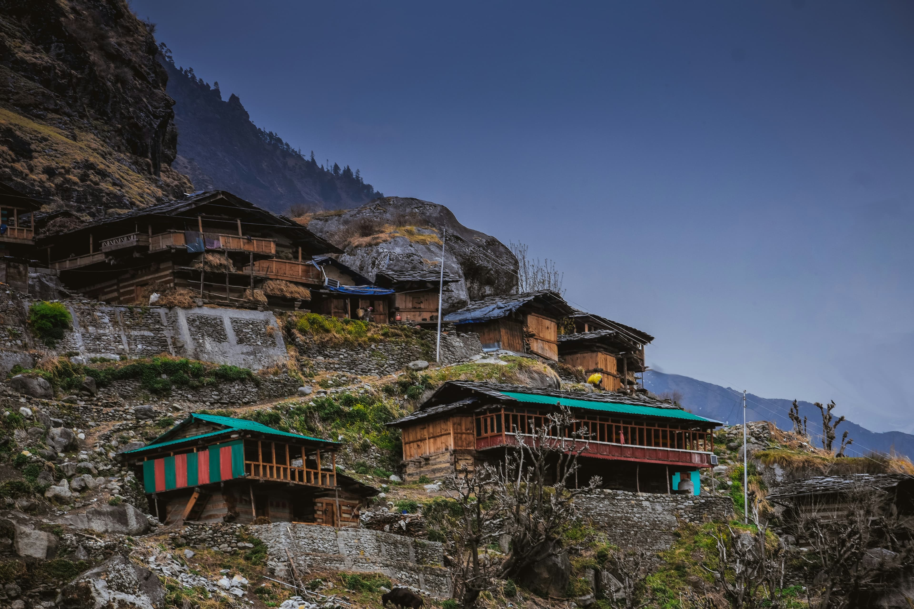 Serene wellness retreat at Vana Dehradun Uttarakhand surrounded by nature