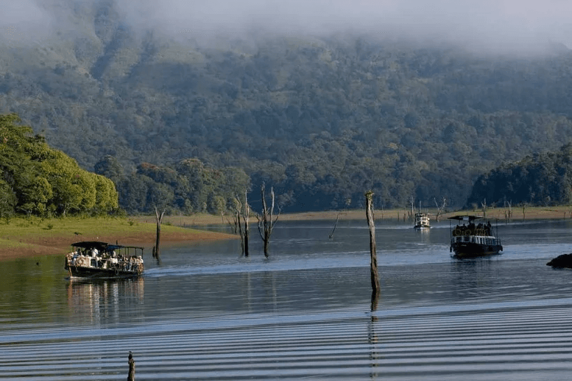Thekkady – Where Nature Rules