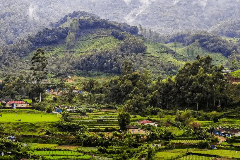 Munnar – South India’s Alpine Haven