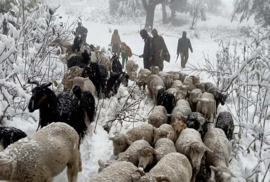 Pahalgam - The Valley Of Shepherds