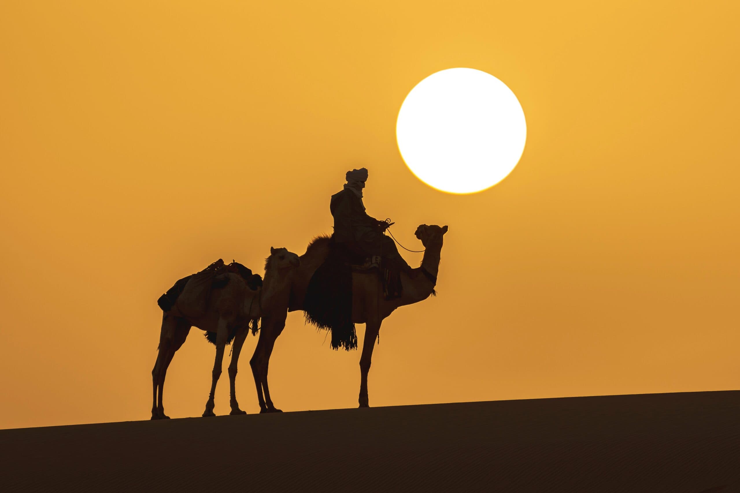 Camel Riding & Bonfire at the desert
