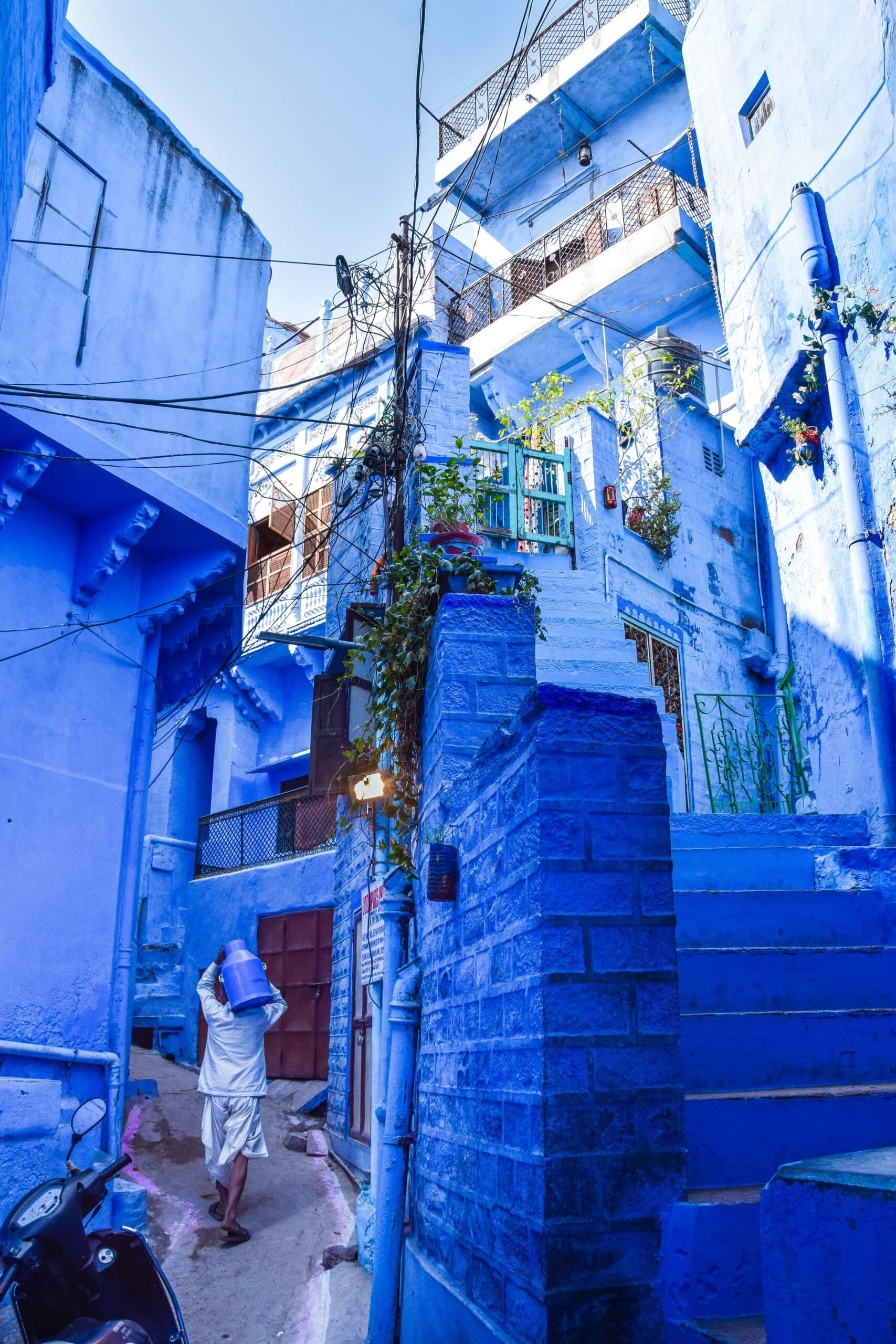 Colours of the Blue City