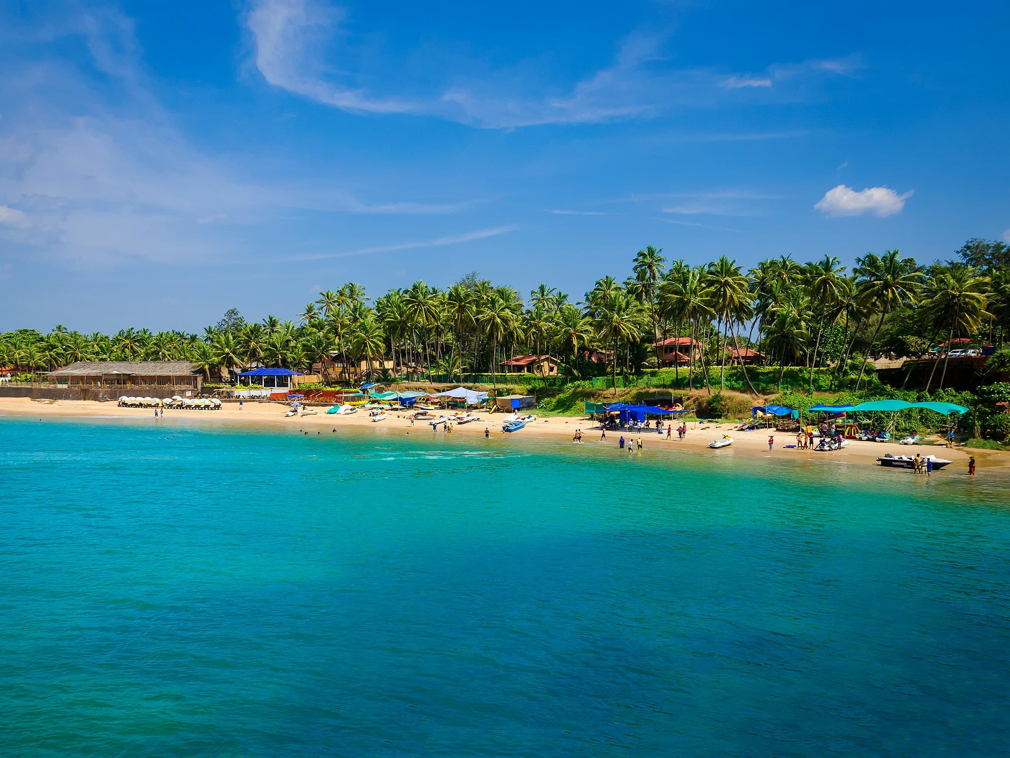 Goa's Coastal Bliss & Culture