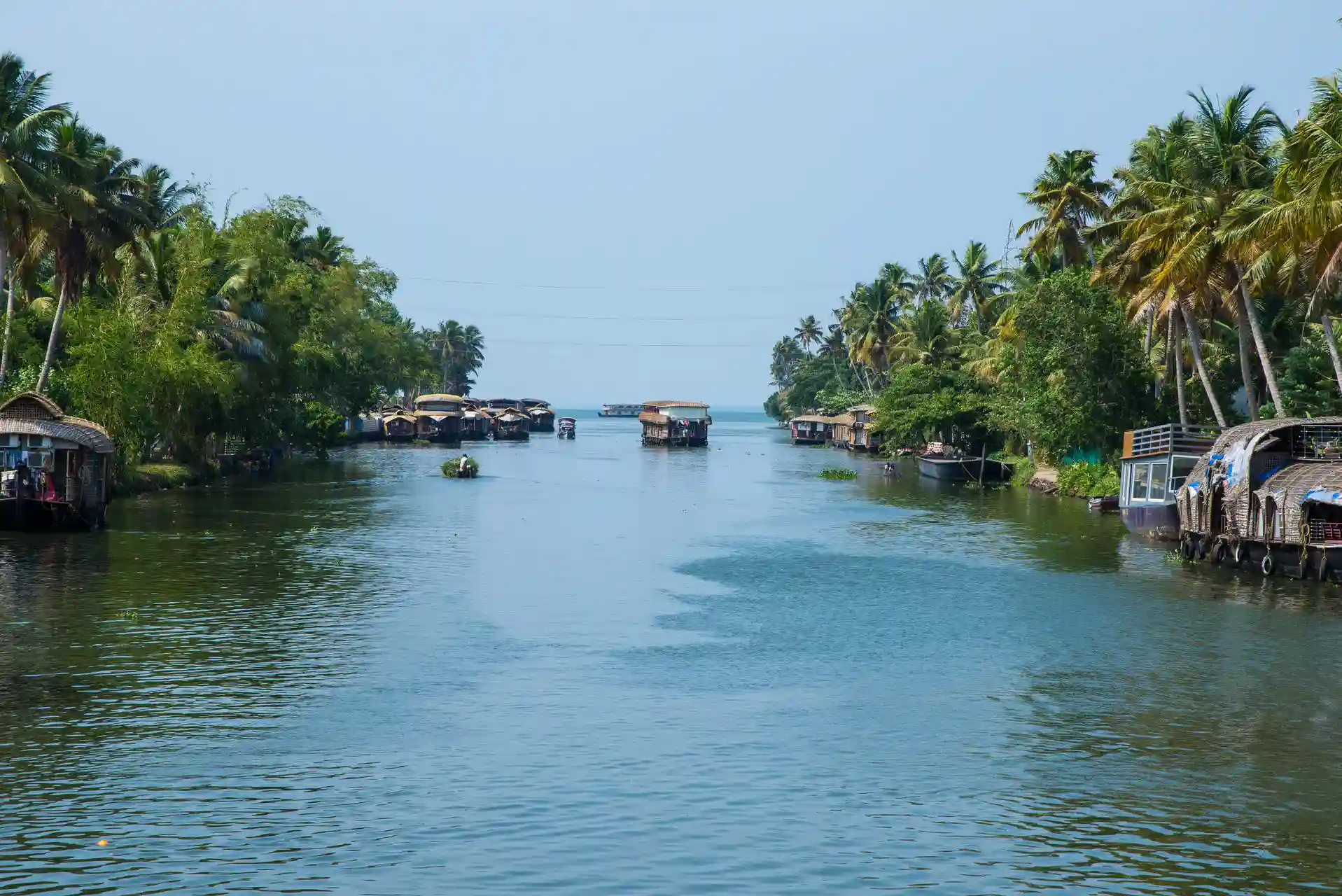 South India
