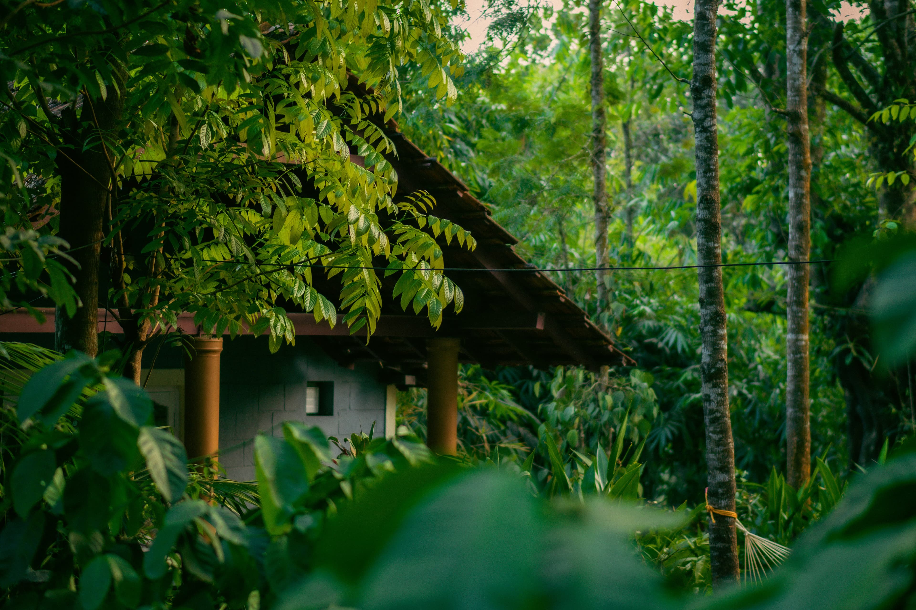 Coorg Karnataka
