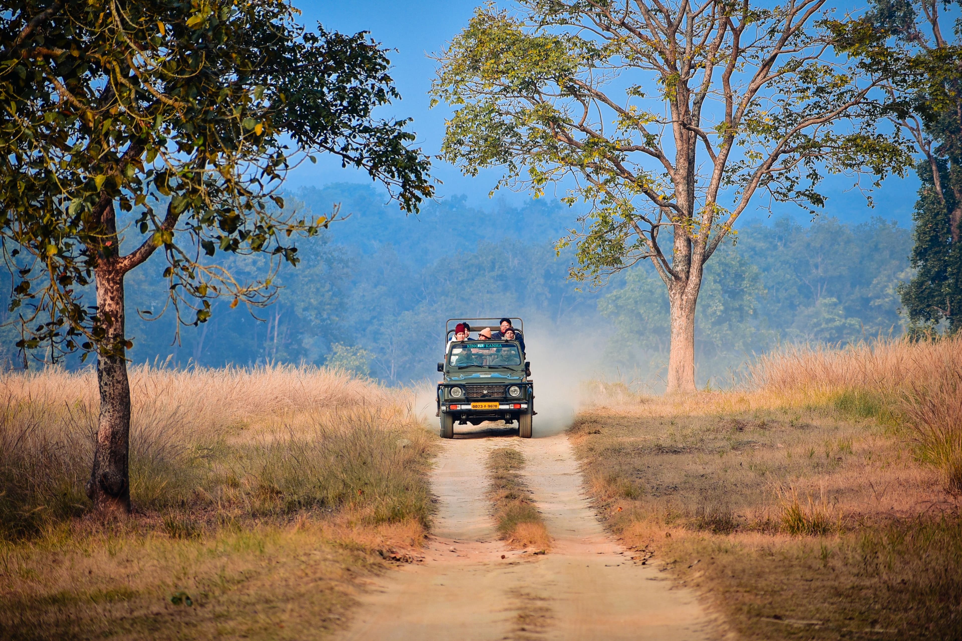 Jeep Safari in Ranthambore National Park
