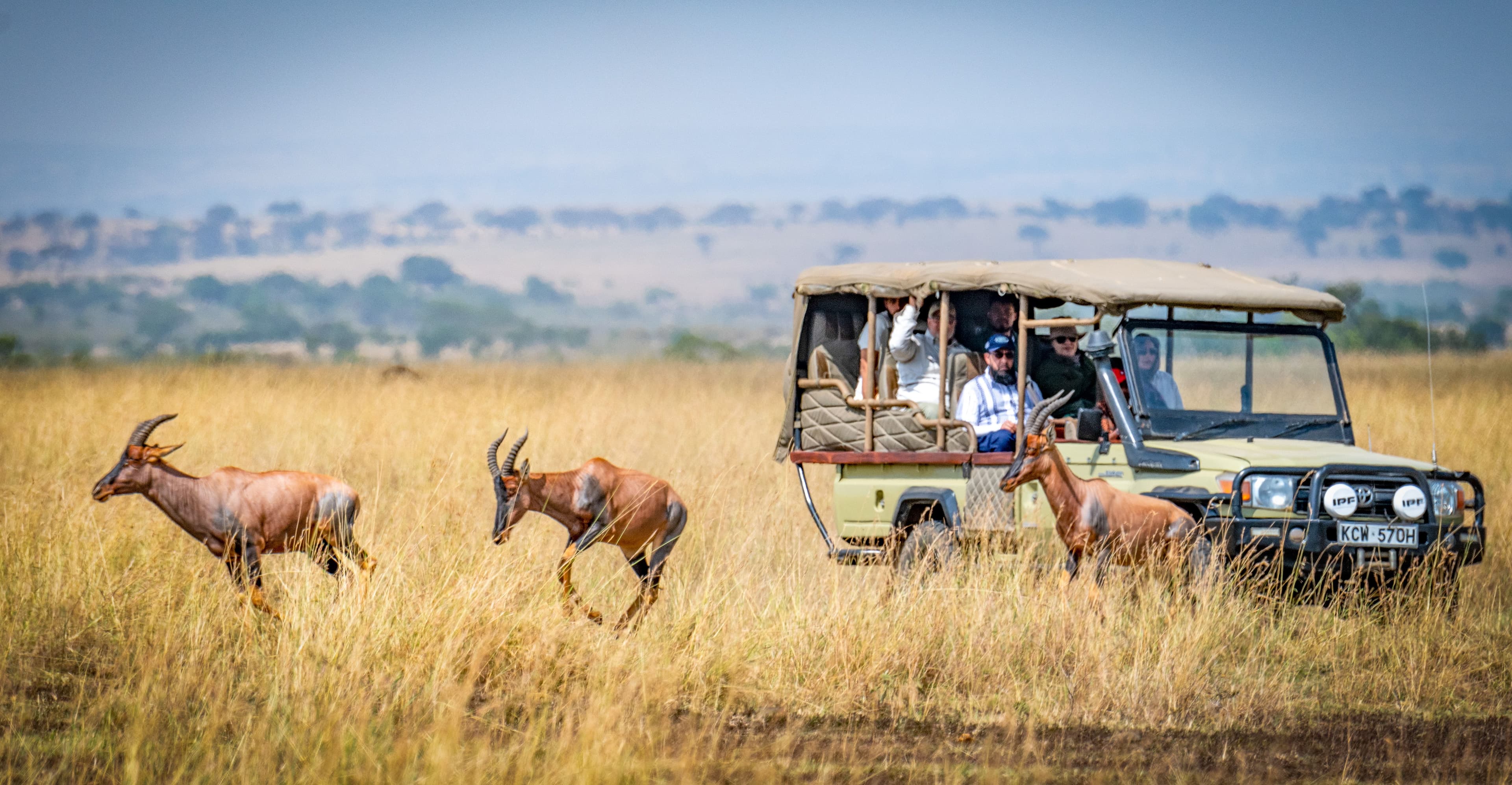 Adventure and wildlife activity coverage - travel insurance for India safaris and trekking