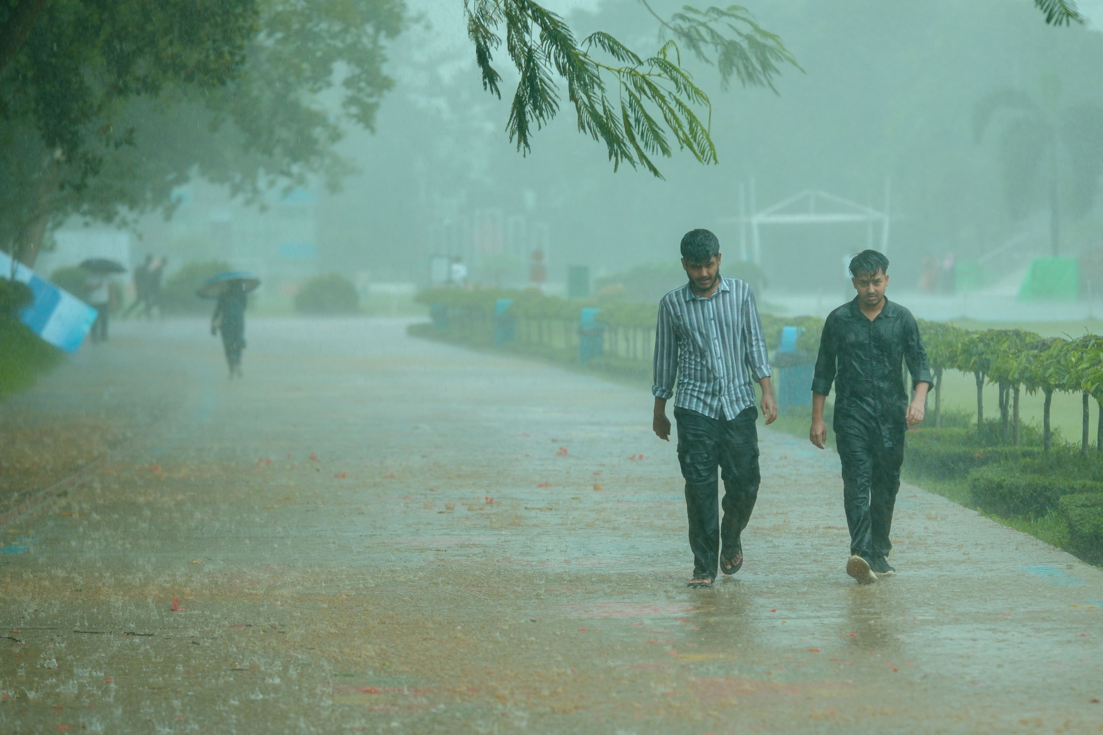 Monsoon (June/July to September)