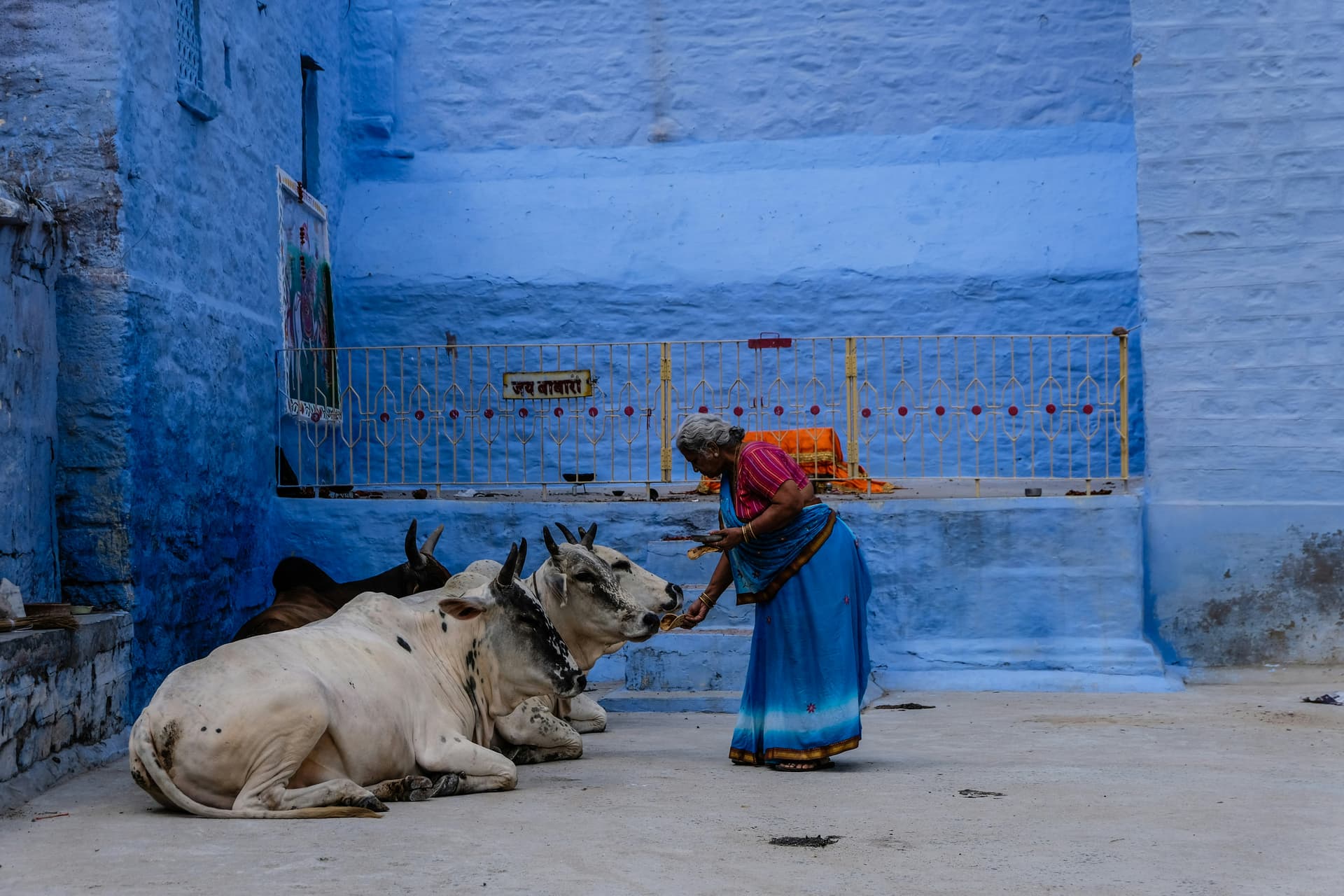 Best Time to Visit India (2026)