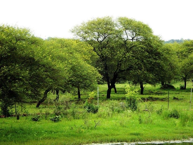 Van Vihar and Ramsagar Sanctuaries