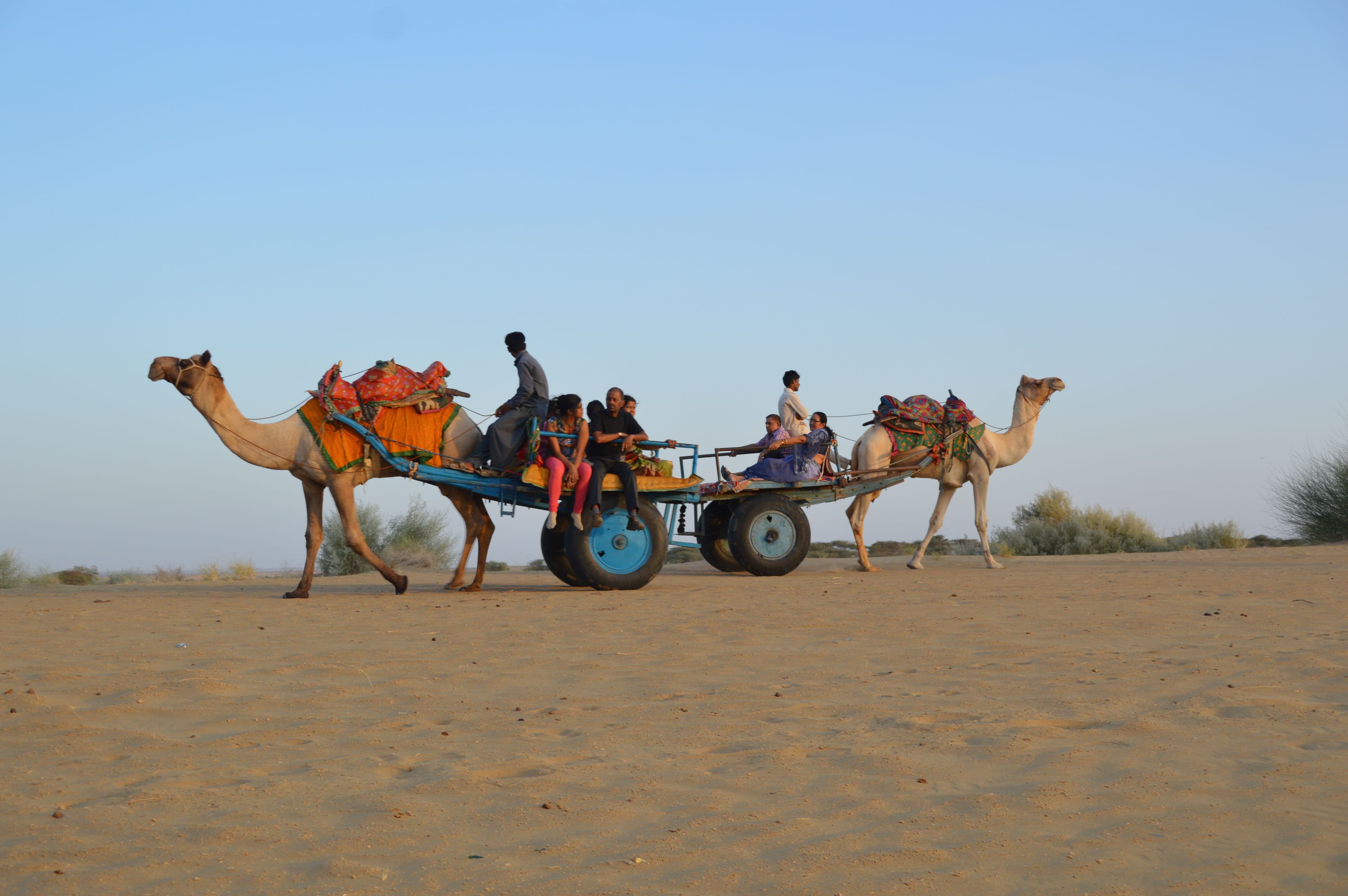 Camel and Jeep Safaris at Sunset